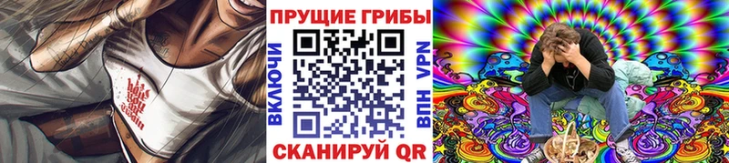 Псилоцибиновые грибы Cubensis  гидра ссылки  Холм 